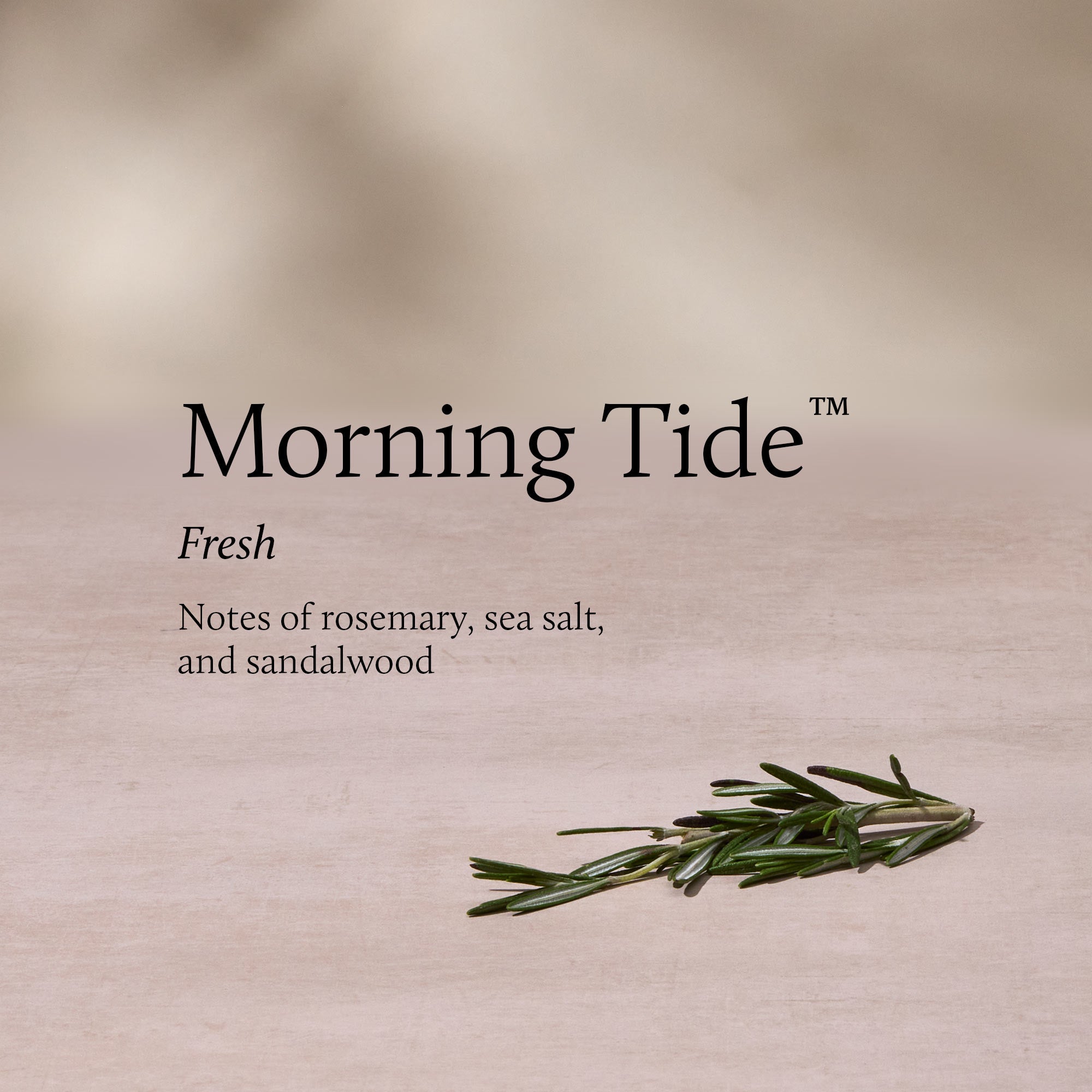 Morning Tide 13 oz 2-Wick Candle - Image 3