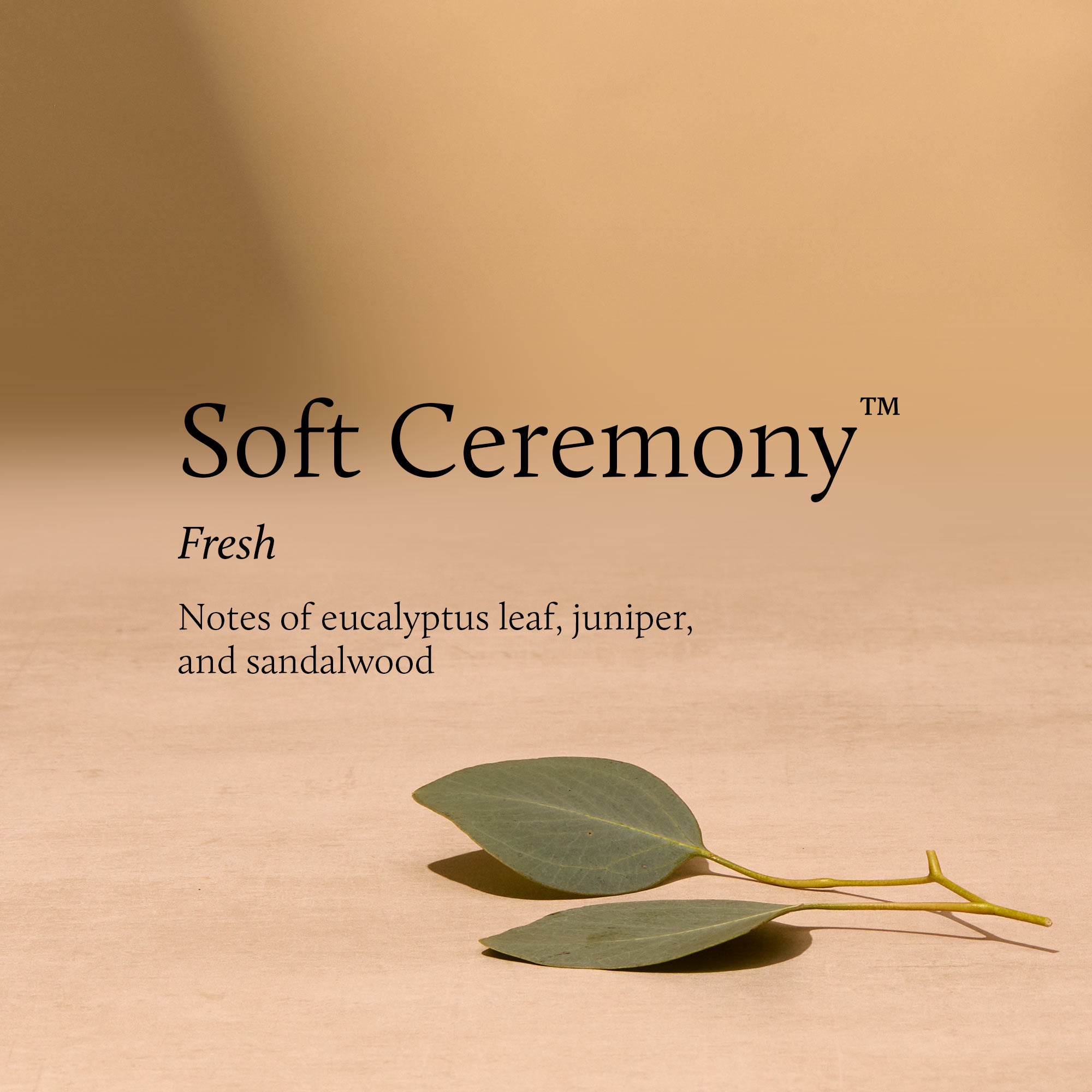 Soft Ceremony 6.5 oz Poured Candle - Image 3